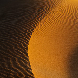 Desert form